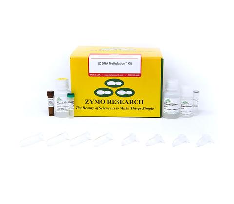 EZ DNA Methylation kit