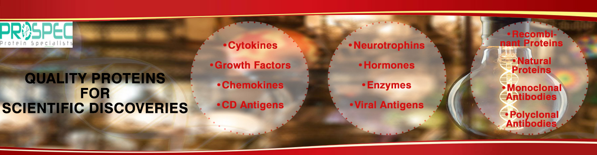 Cytokines, Growth Factors, Chemokines, CD Antigens, Neurotrophins, Hormones ,Enzymes, Viral Antigens, Recombinant Proteins, Natural Proteins Monoclonal Antibodies Polyclonal Antibodies