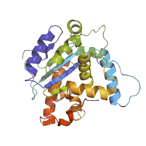 Protein_Analysis_Reagents_1-removebg-preview