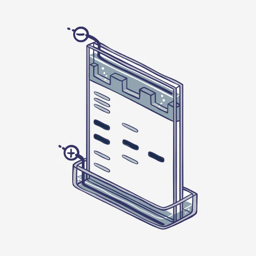 Rapid Protein Extraction Kits